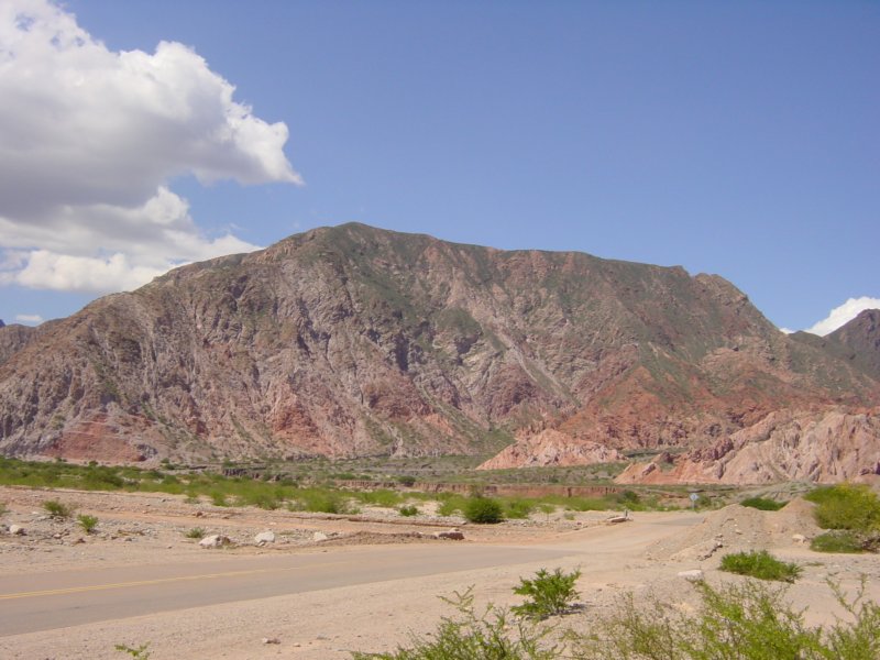 Photograph