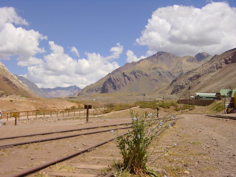 Photograph
